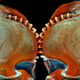 Imagen para el artículo titulado Estas son algunas de las fotos microscópicas más espectaculares del año